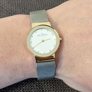 Skagen Silver and Gold Women's Watch